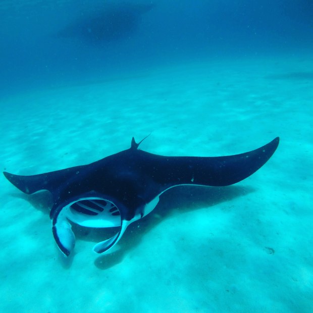 IMG_20180708_172140_344