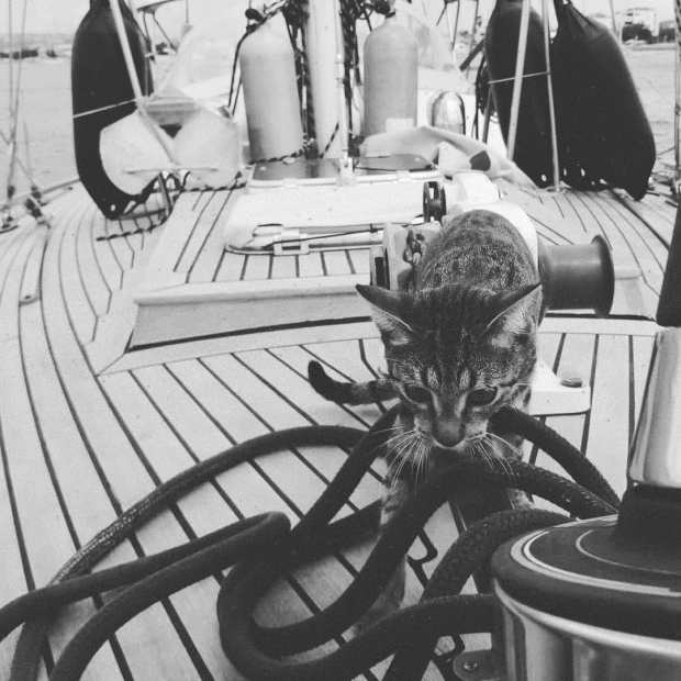 IMG_20181103_143319_891