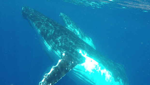 vlcsnap-2020-02-06-22h46m04s019